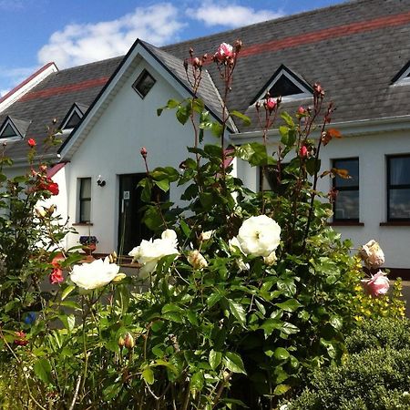 Coonagh Lodge B&B Limerick Junction 外观 照片